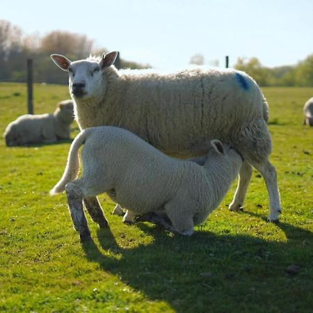 Ashton Keynes The Byre North End Farm B&B 외부 사진
