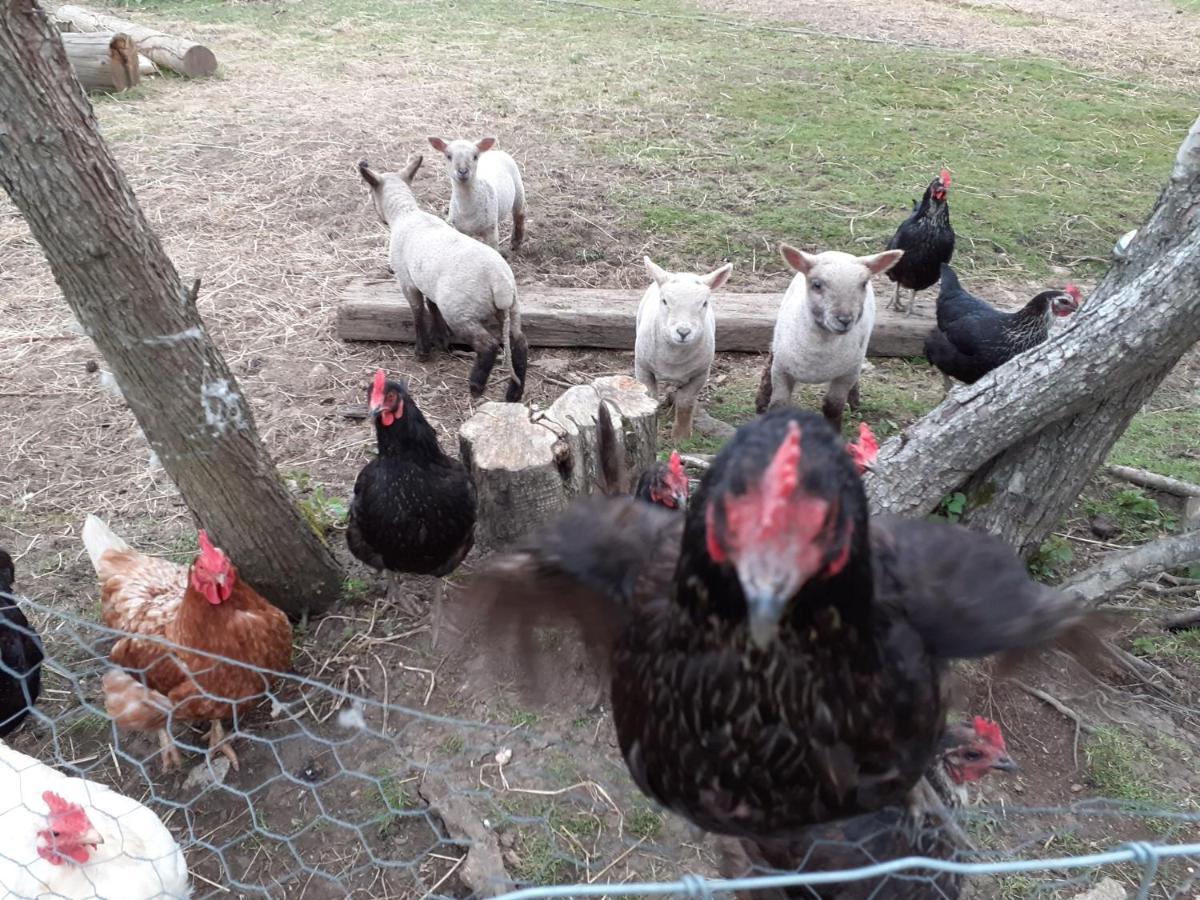 Ashton Keynes The Byre North End Farm B&B 외부 사진