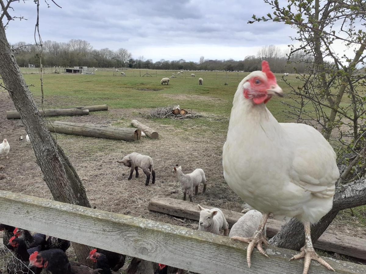 Ashton Keynes The Byre North End Farm B&B 외부 사진